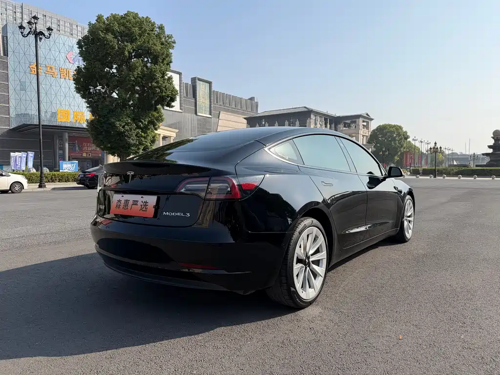 Tesla Model 3 — миниатюра 19