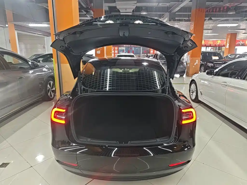 Tesla Model 3 — миниатюра 19