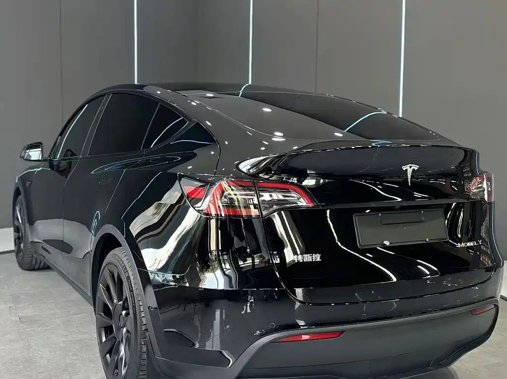Tesla Model Y — миниатюра 8
