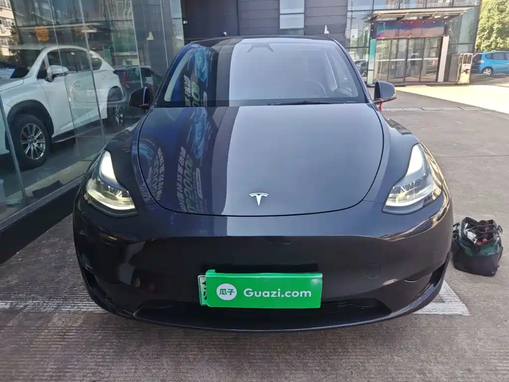 Tesla Model Y — миниатюра 3
