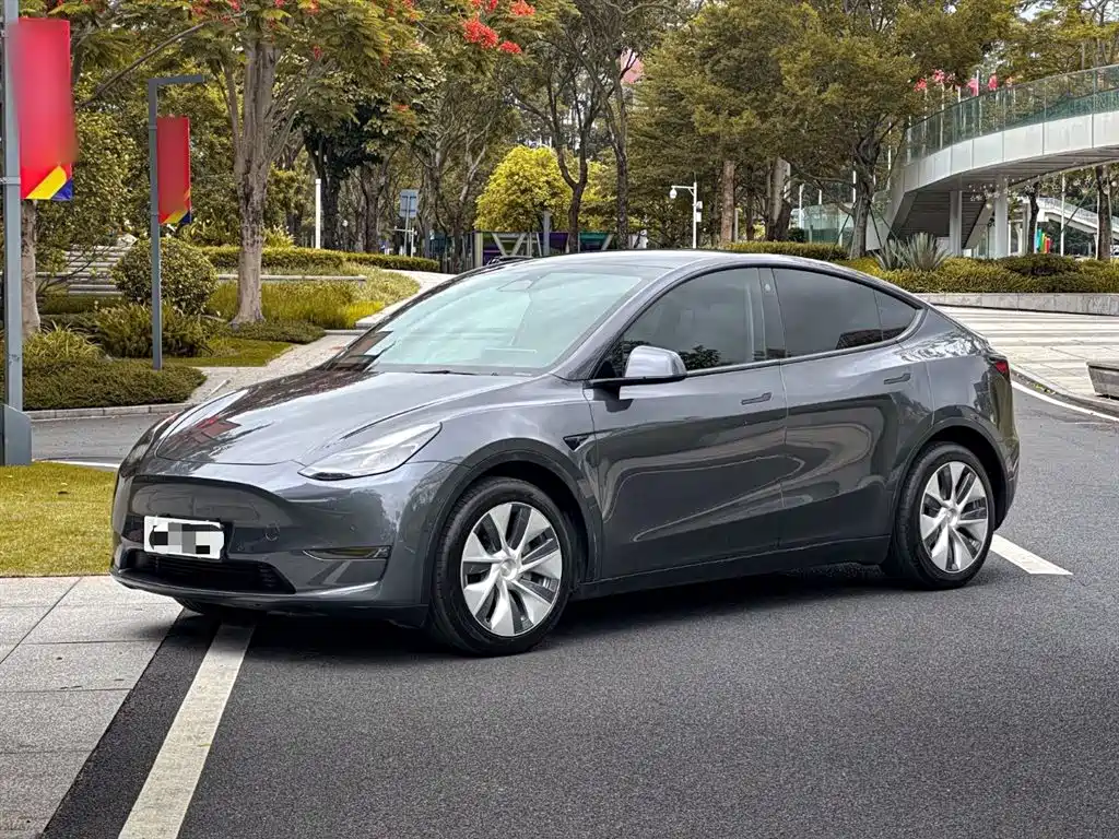 Tesla Model Y 2021