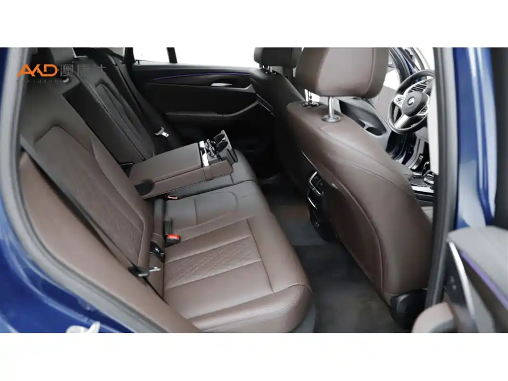 BMW X3 2022 xDrive30i Lead M