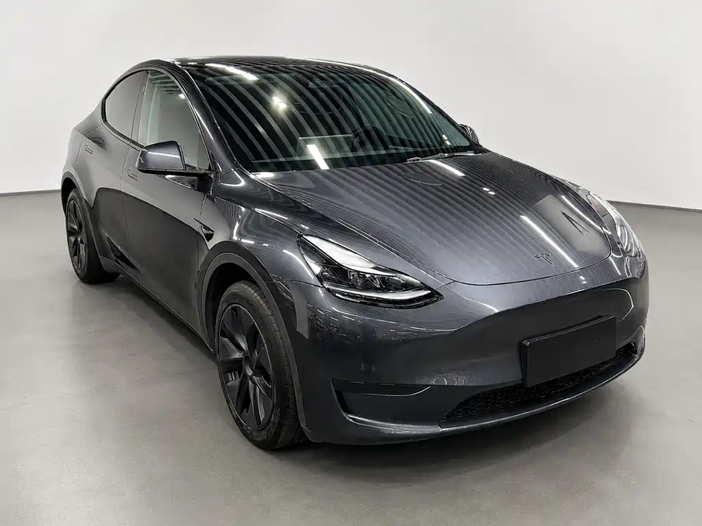 Tesla Model Y — миниатюра 3