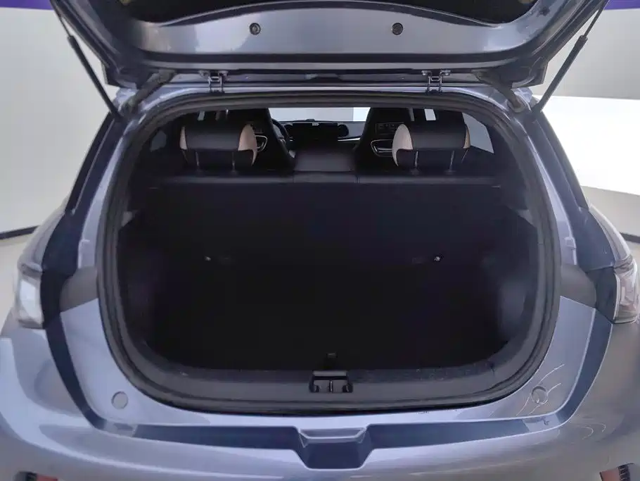 BYD Dolphin — миниатюра 4