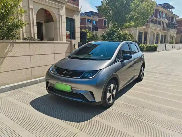 2024 BYD Dolphin