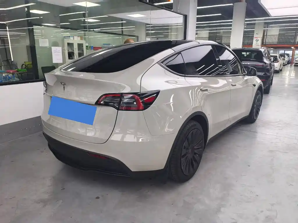 Tesla Model Y — миниатюра 8