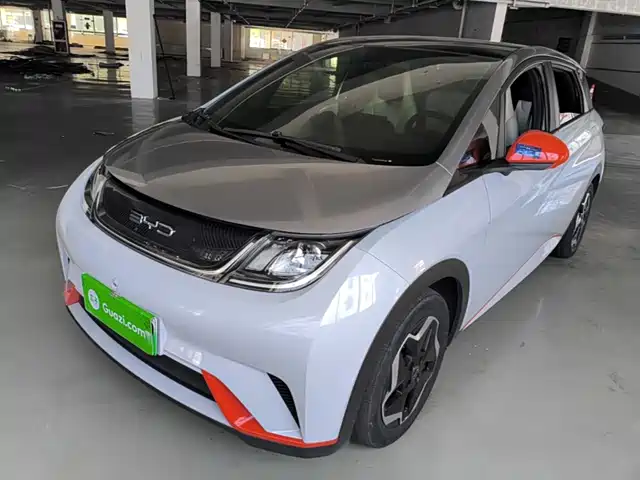 2021 BYD Dolphin