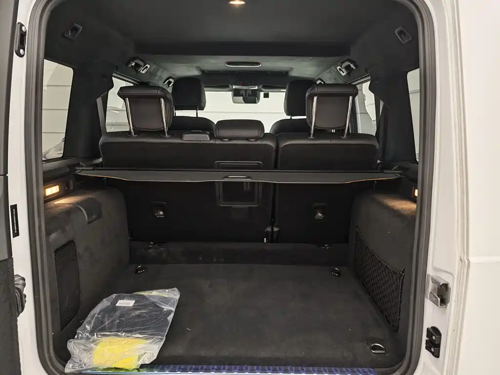 MERCEDES-BENZ G CLASS NEW ENERGY