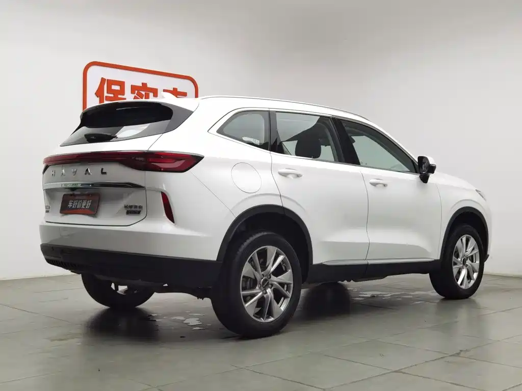 Haval H6 New Energy — миниатюра 2
