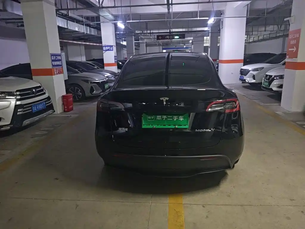 Tesla Model Y — миниатюра 6