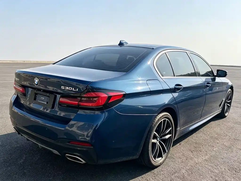 BMW 5 Series — миниатюра 5