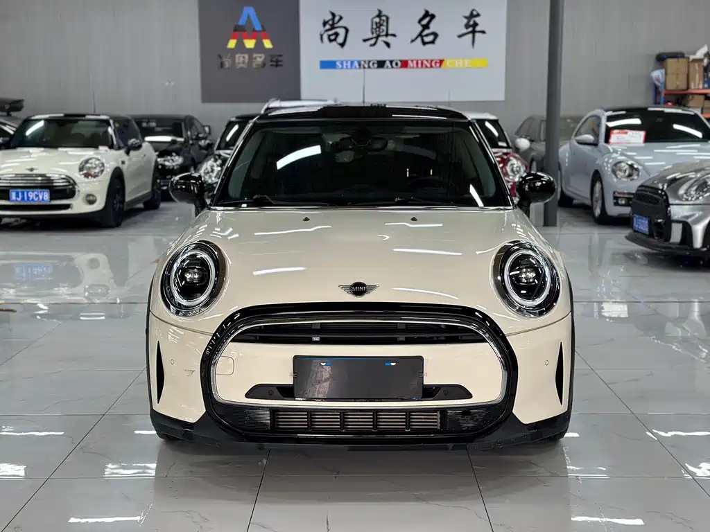 Mini Mini 2021