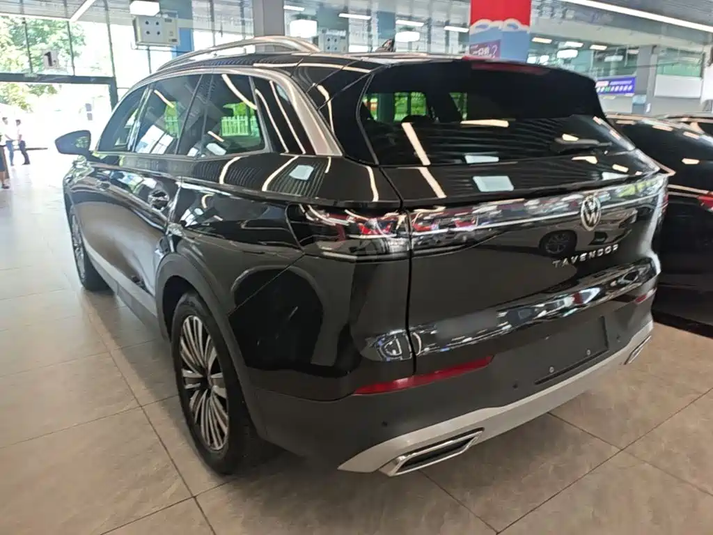 Volkswagen Tavendor — миниатюра 5
