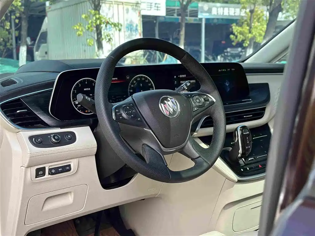 Buick GL8 — миниатюра 15