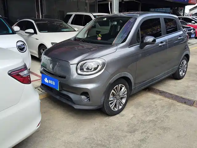 2021 Leapmotor T03