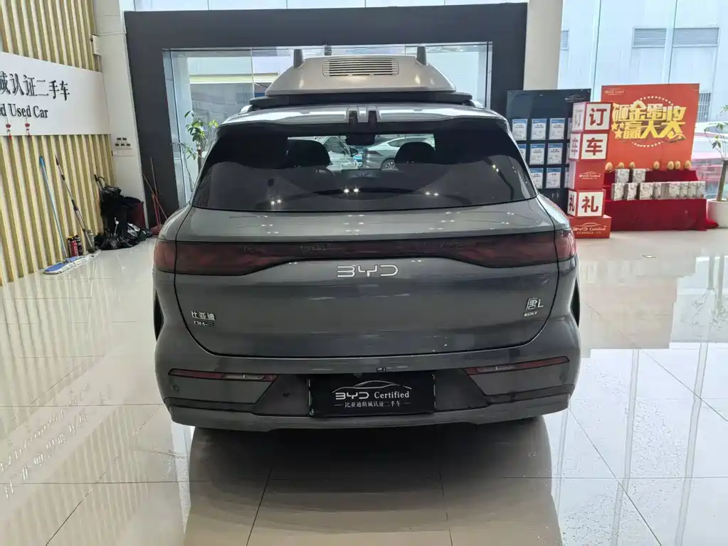BYD Дон Л. — миниатюра 9