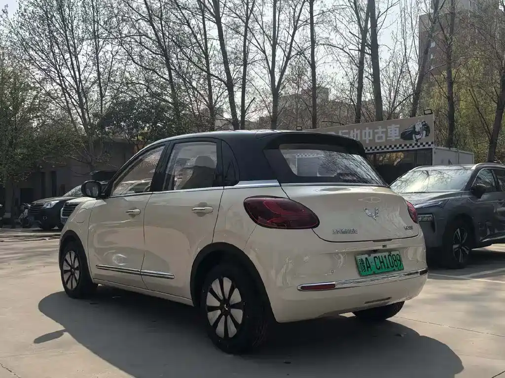 Wuling Binguo 2025 333km Enjoy