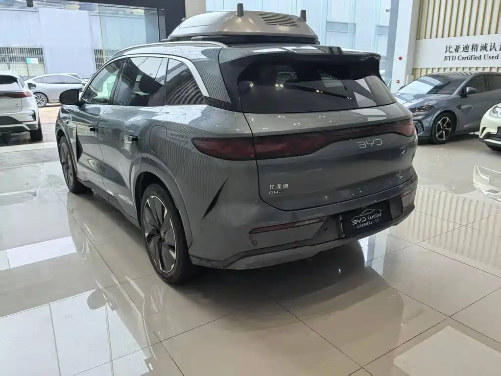 BYD Дон Л. — миниатюра 8