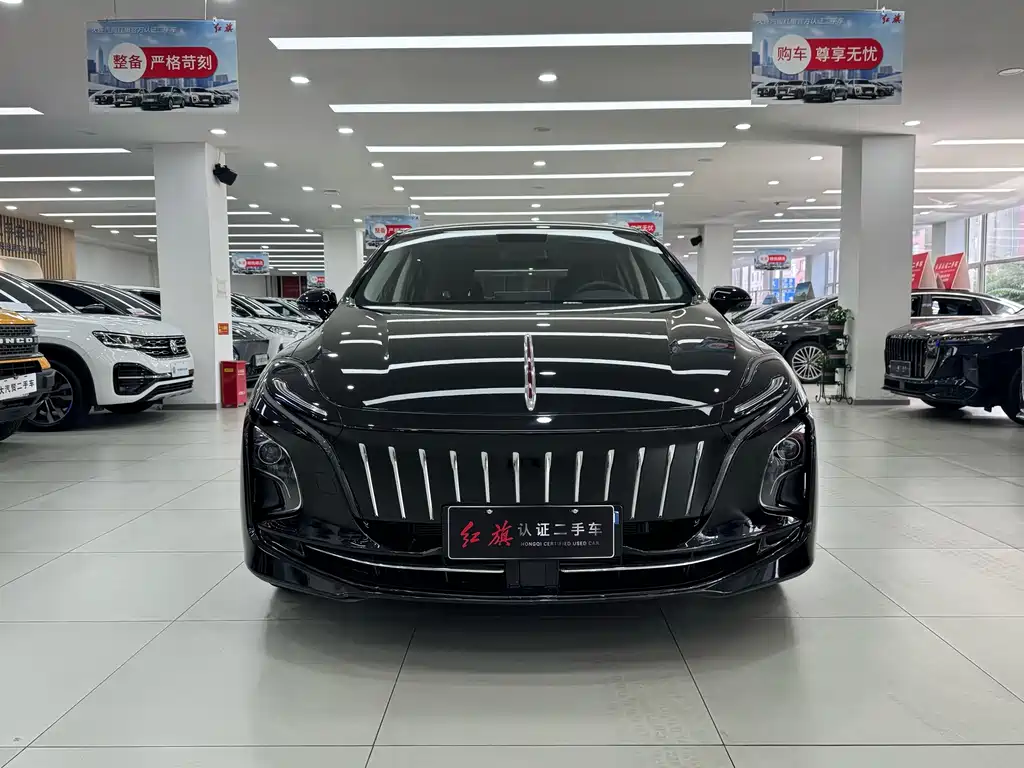 Hongqi Hongqi E-QM5 — миниатюра 2