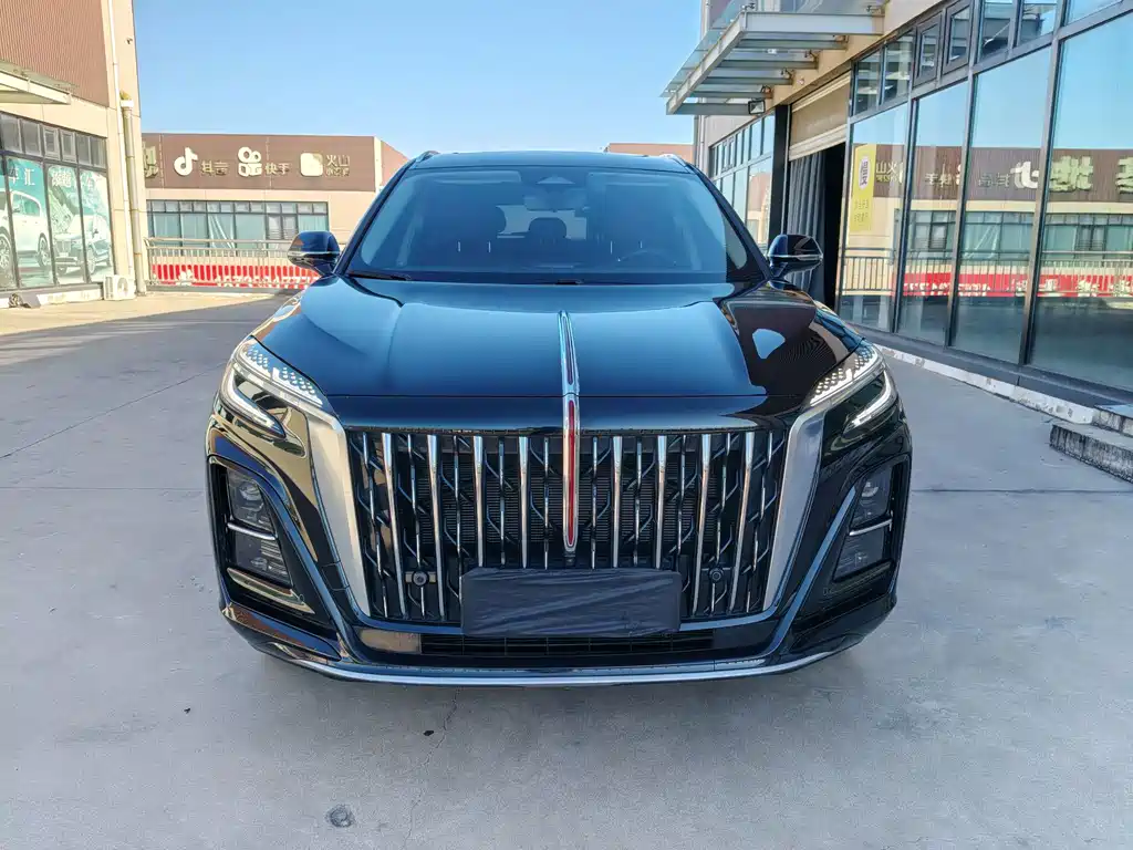 Hongqi Hongqi HS3 PHEV — миниатюра 2