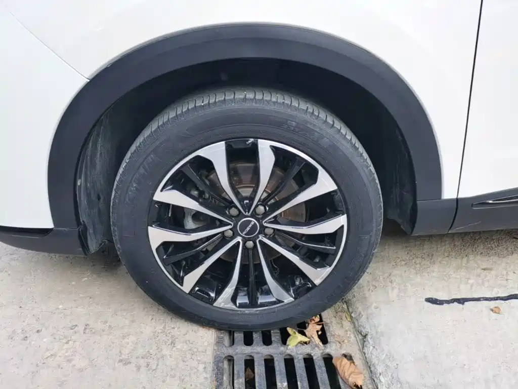 Roewe RX5 MAX — миниатюра 23
