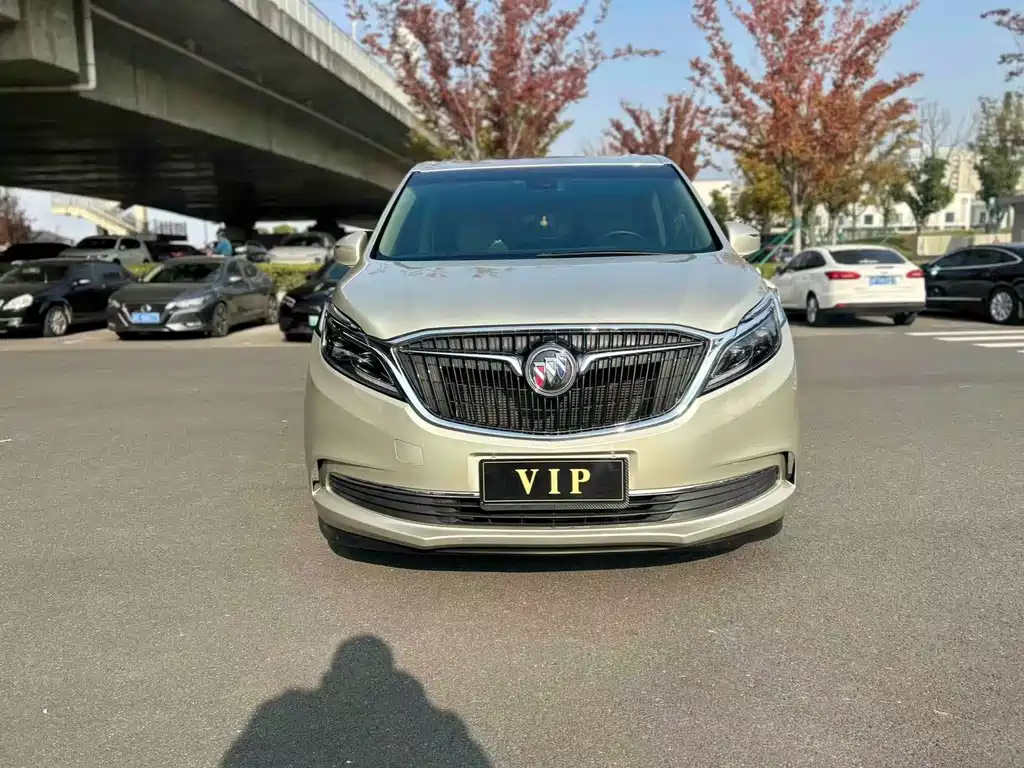 Buick GL8 2018 ES 28T Luxury VI