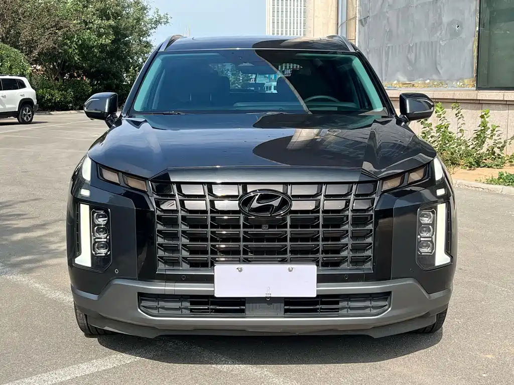Hyundai Palisade — миниатюра 2