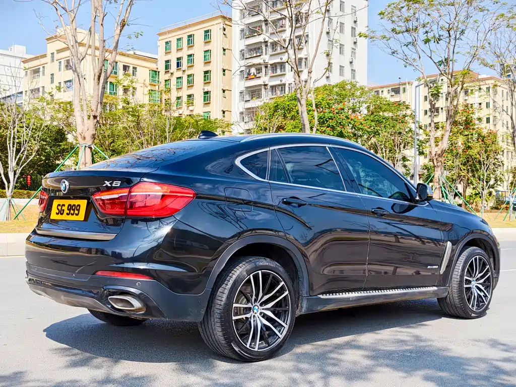 BMW X6