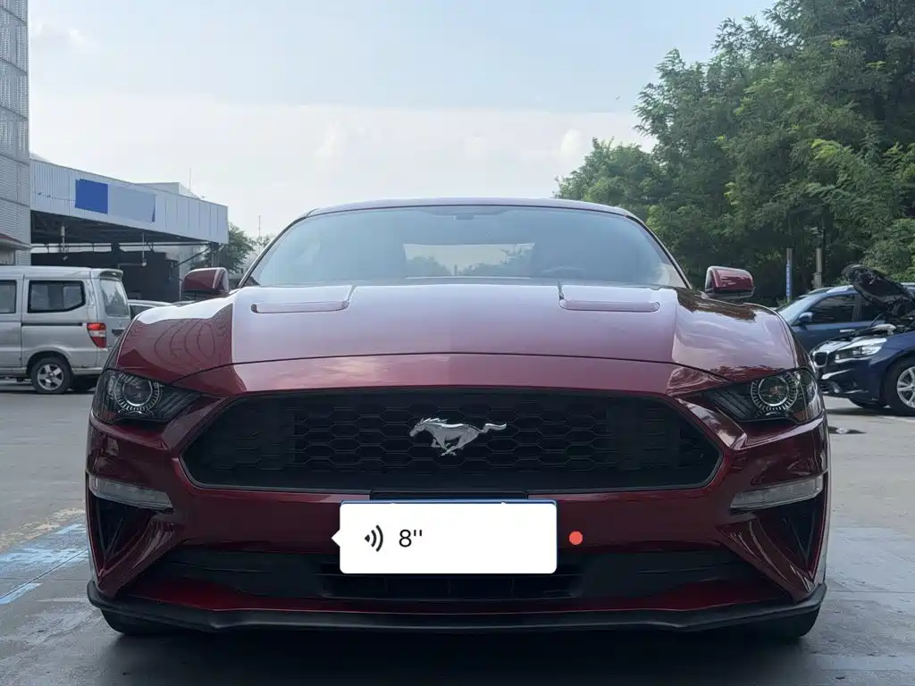 Ford Mustang — миниатюра 2