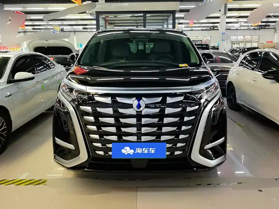 Denza Denza D9 — миниатюра 2