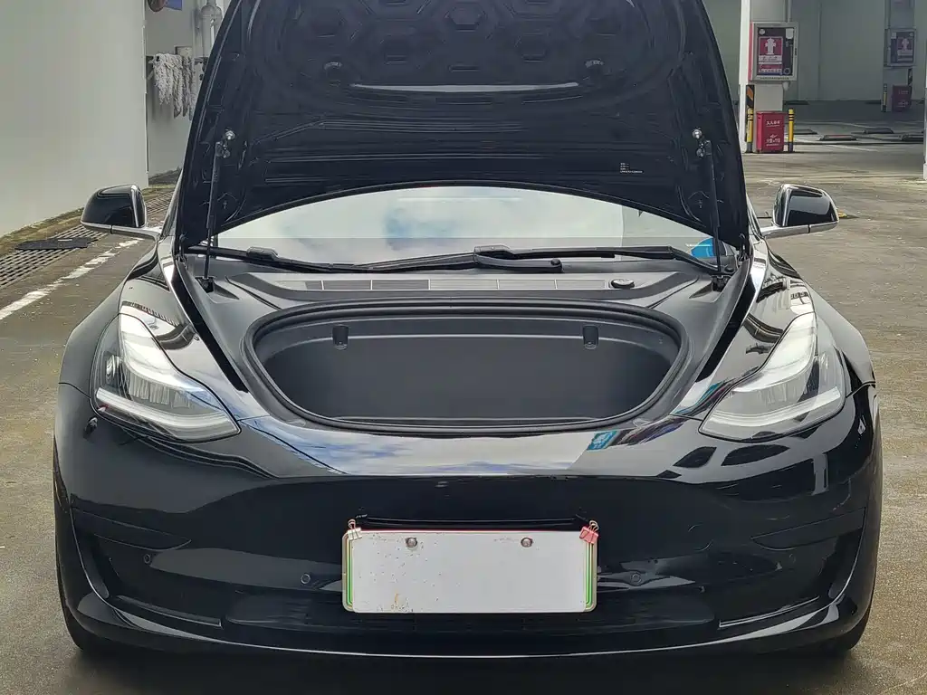 Tesla Model 3 — миниатюра 5