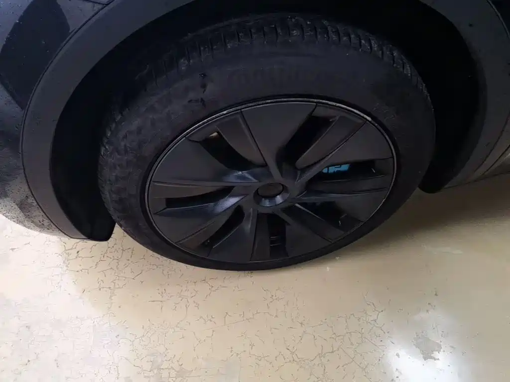 Tesla Model Y — миниатюра 23