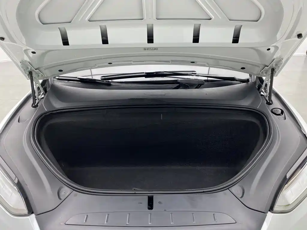 Tesla Model X — миниатюра 8