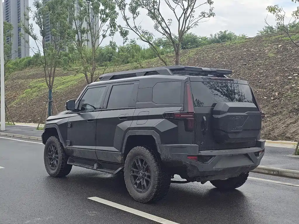 Mengshi Mengshi 917 — миниатюра 4