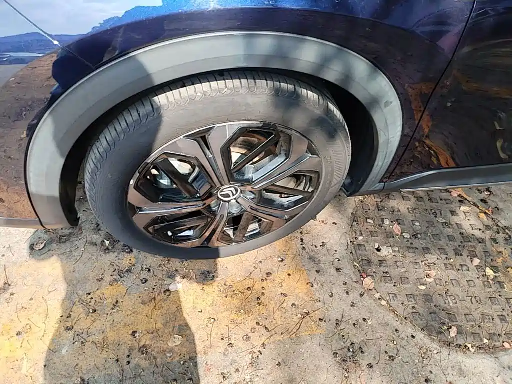 Citroen C5 X — миниатюра 23