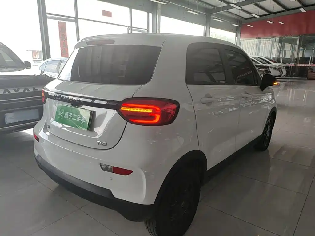 Leapmotor T03 2023 310