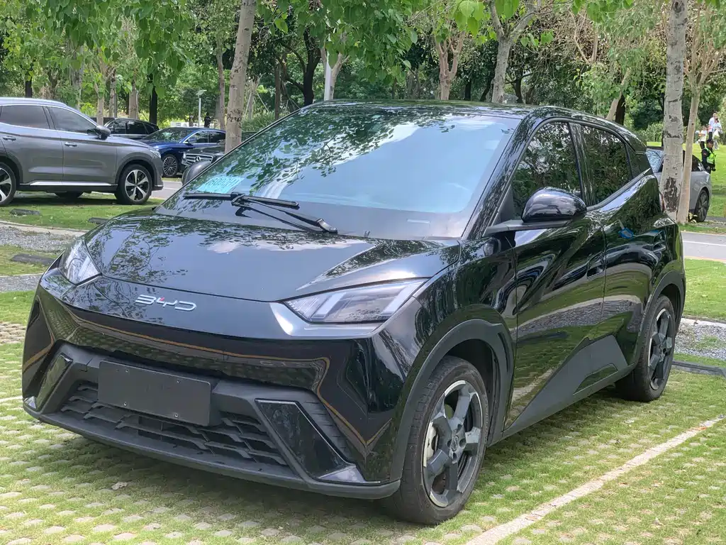 Byd Seagull 2023