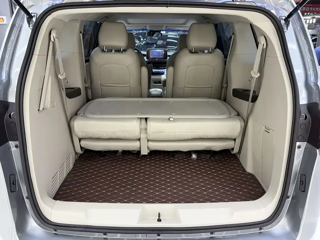 Buick GL8 — миниатюра 15