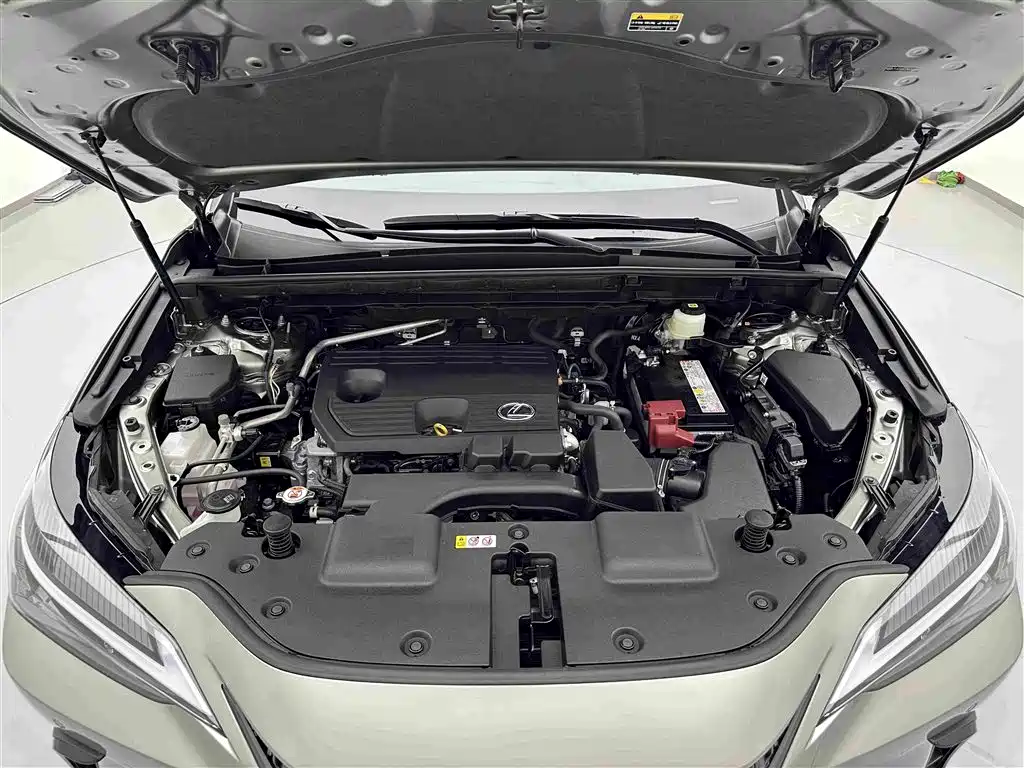 Lexus NX — миниатюра 28