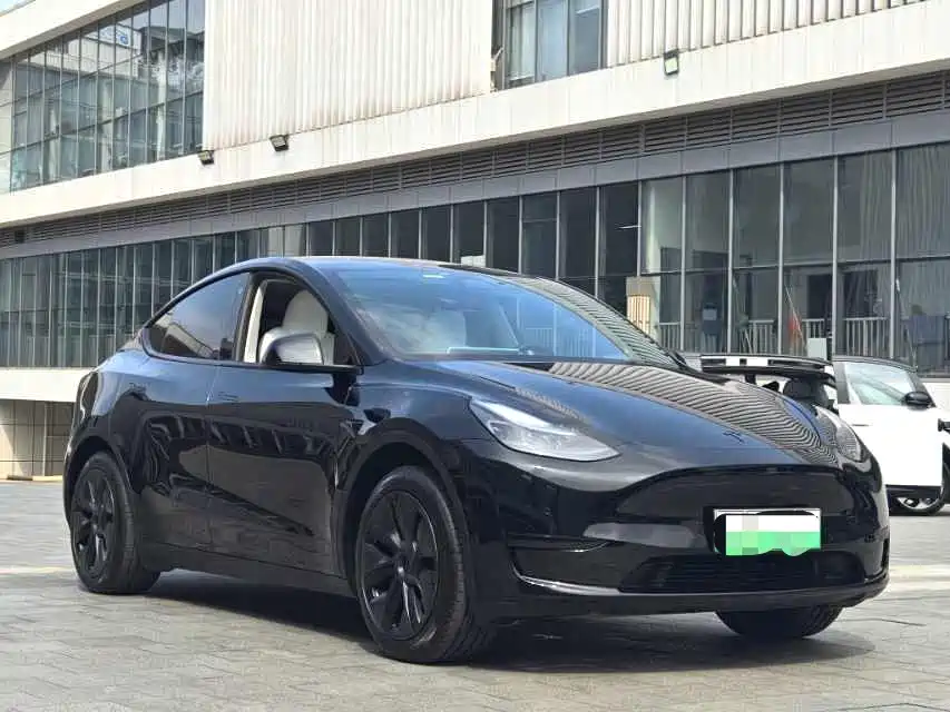Tesla Model Y — миниатюра 3