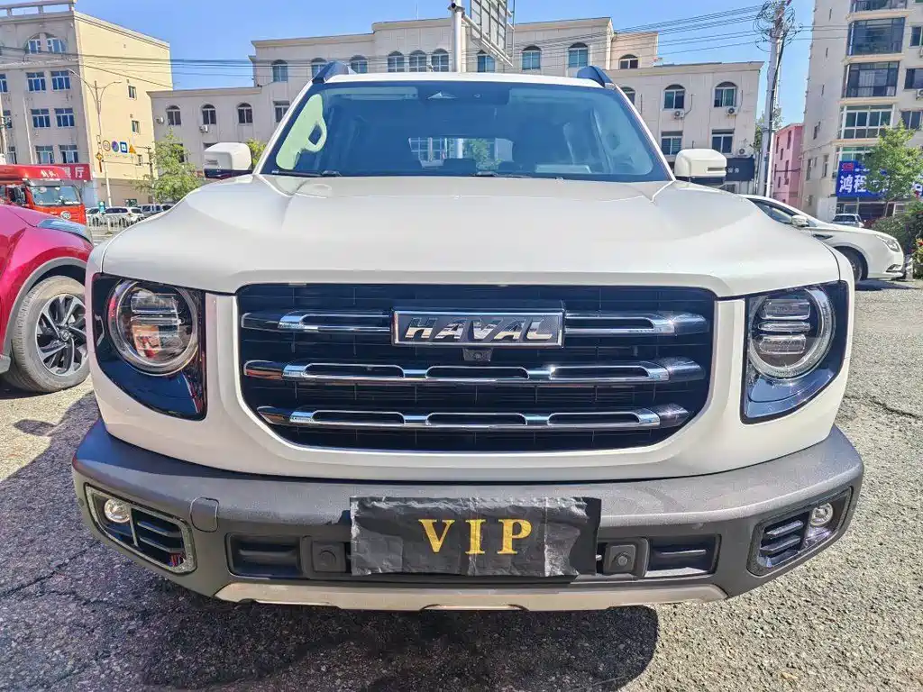 HAVAL BIG DOG
