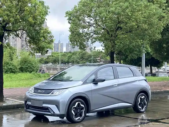 2022 BYD Dolphin
