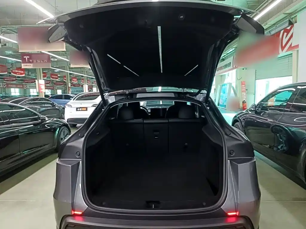 Tesla Model Y — миниатюра 19