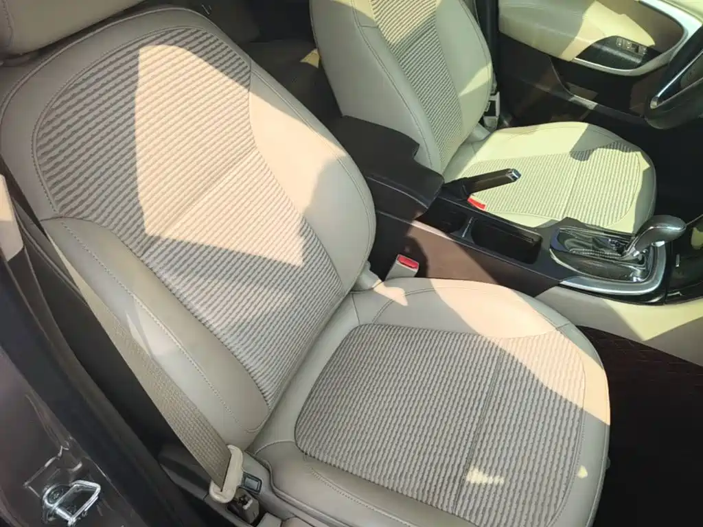 Buick Regal — миниатюра 25