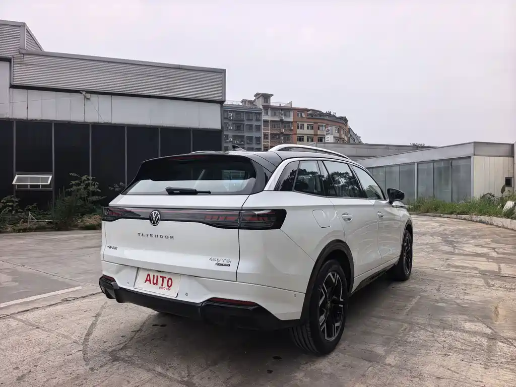 Volkswagen Tavendor — миниатюра 7