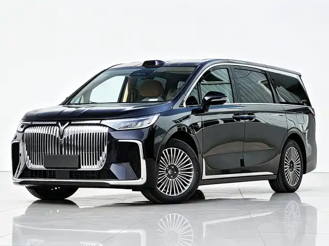 2025 Voyah Dream