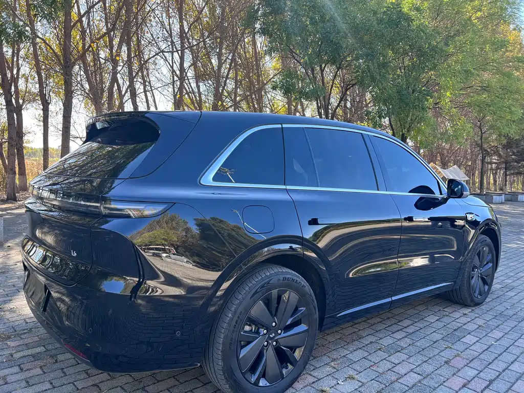 Li Auto Li L6 — миниатюра 9