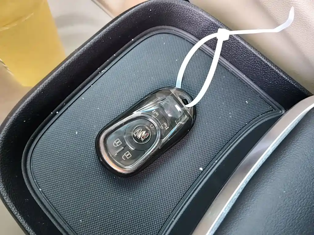 Buick GL8 2023 ES Premium
