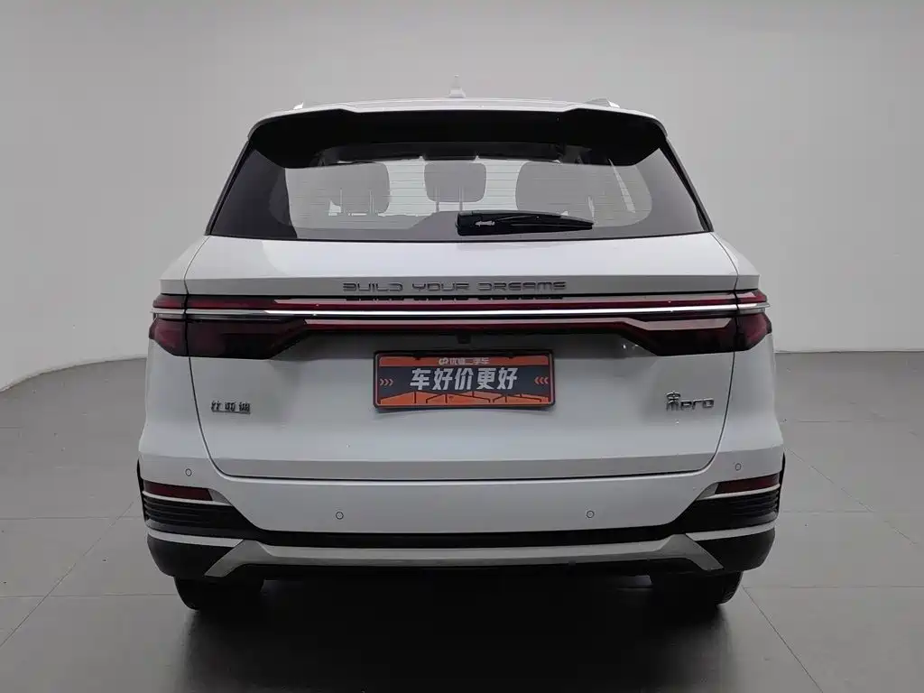 BYD Pro — миниатюра 4