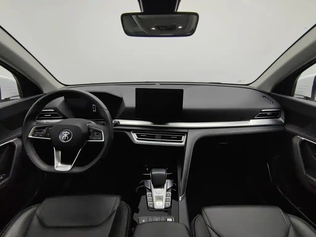 BYD Pro — миниатюра 5